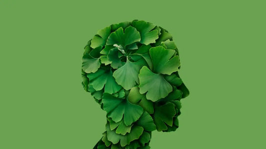 Does Ginkgo Biloba Improve Cognitive Function? Facts & Benefits Thomson Health SG