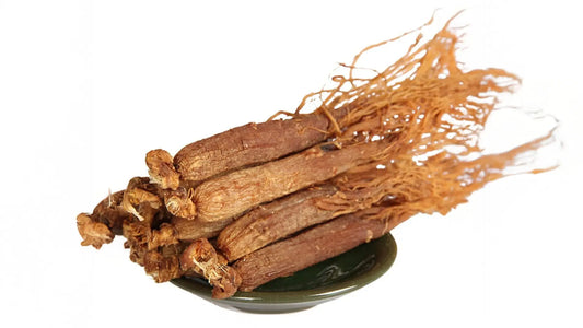 Unlocking the Potential of the Red Ginseng Extract: A Comprehensive Guide Thomson Health SG