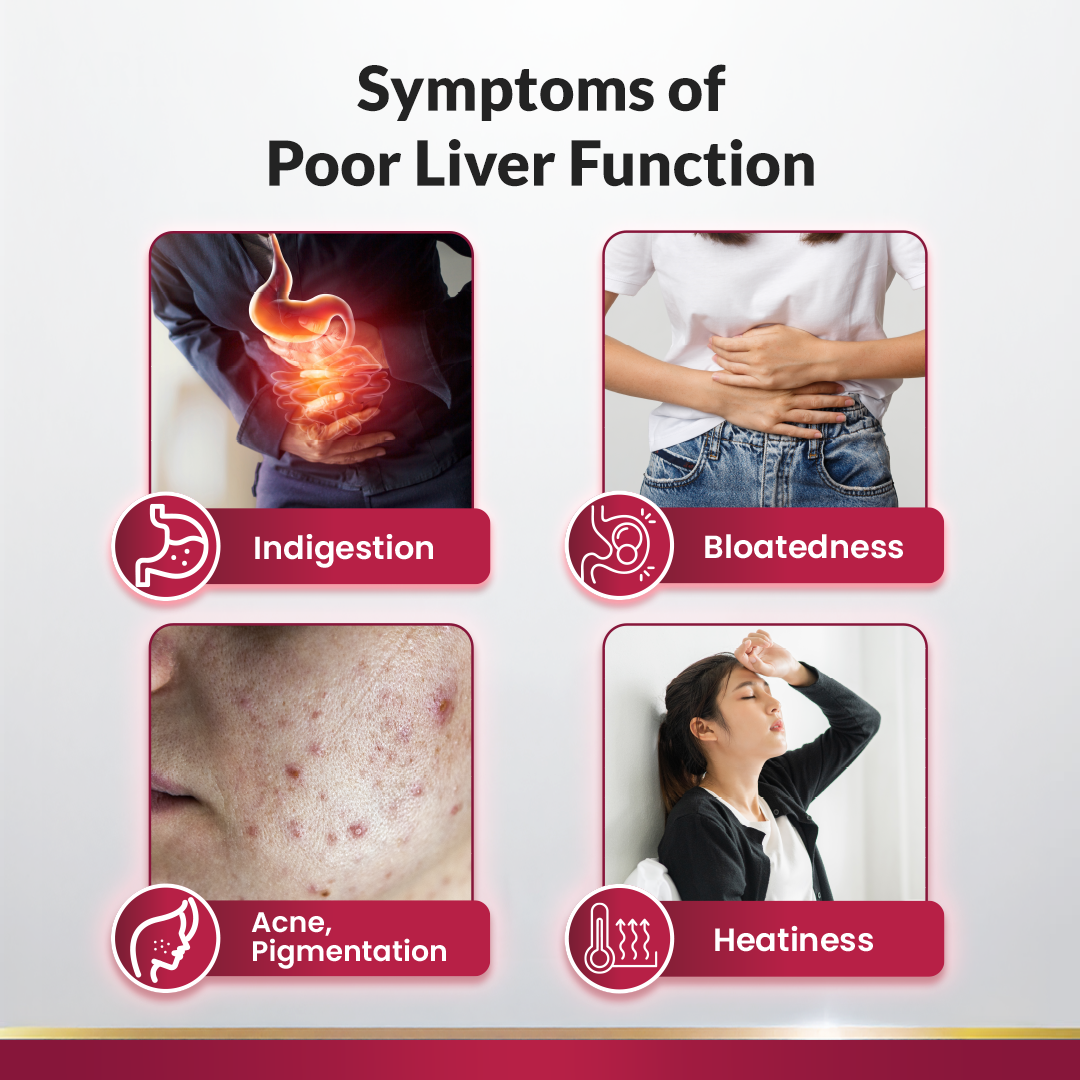An informational graphic titled 'Symptoms of Poor Liver Function' showing four panels: indigestion, bloatedness, acne and pigmentation, and heatiness, each with a small icon and label on a light background.